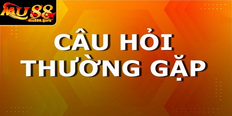 Câu hỏi thường gặp bao gồm những thông tin được bet thủ quan tâm
