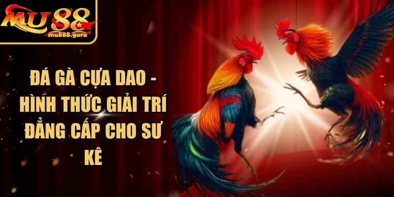 Đá Gà Cựa Dao