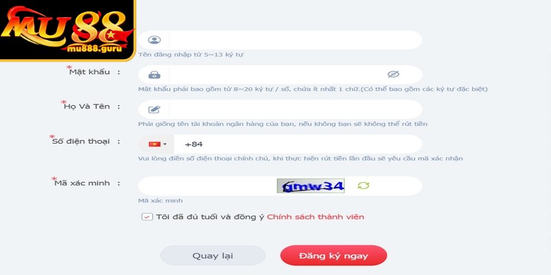 Người mới bảo đảm toàn bộ dữ liệu bạn nhập vào là chính xác