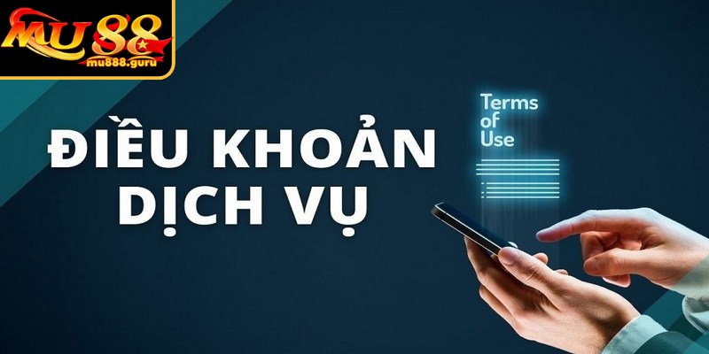 Điều khoản và điều kiện áp dụng hiện nay được xây dựng chặt chẽ