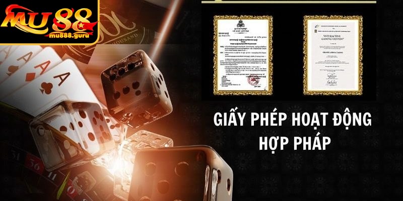 Quy trình để sở hữu trong tay giấy phép hoạt động nghiêm ngặt