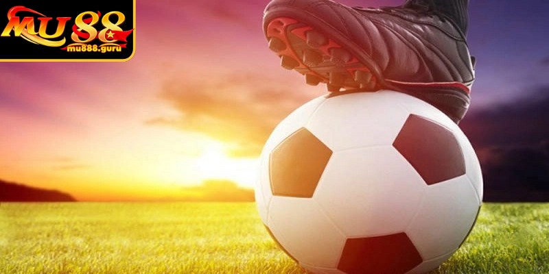 Kèo châu Á là một kiểu chơi vô cùng phong phú, hấp dẫn hàng đầu