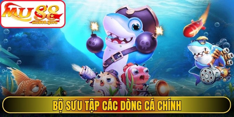 Bộ sưu tập các dòng cá chính