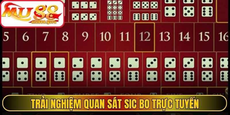 Trải nghiệm quan sát Sic Bo trực tuyến