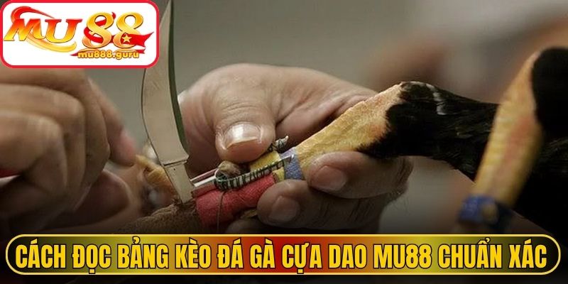 Cách đọc bảng kèo đá gà cựa dao MU88 chuẩn xác nhất