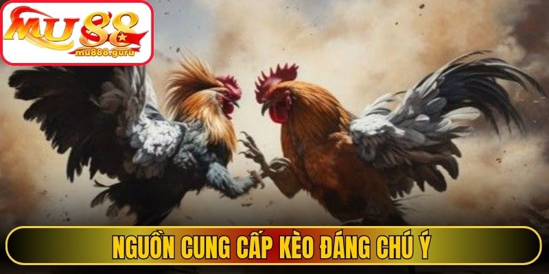 Nguồn cung cấp kèo đáng chú ý 