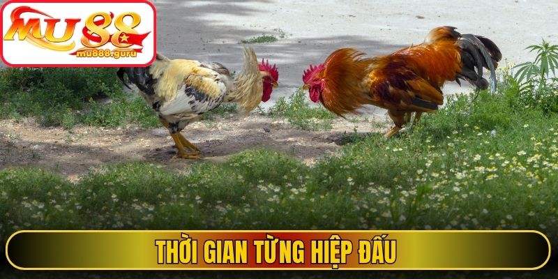 Thời gian từng hiệp đấu 