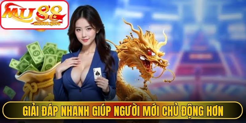 Giải đáp nhanh giúp người mới chủ động hơn khi thao tác