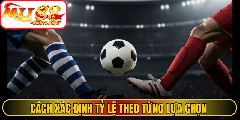 Cách xác định tỷ lệ theo từng lựa chọn