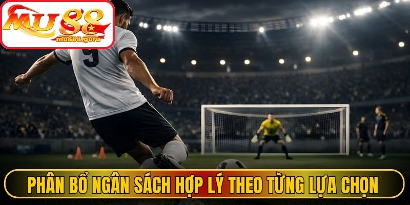 Phân bổ ngân sách hợp lý theo từng lựa chọn