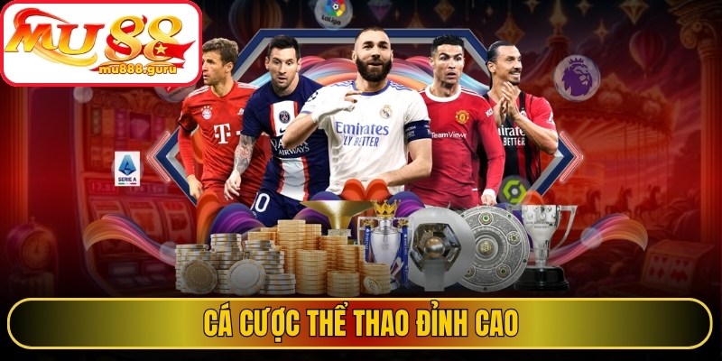 Cá cược thể thao đỉnh cao