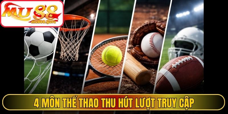 4 môn thể thao thu hút lượt truy cập 